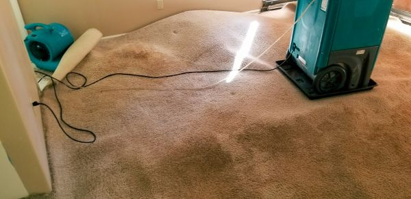 Carpet Water Extraction in Bella Vista