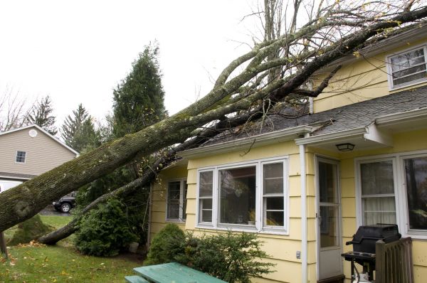 Hurricane Damage Repair in Bella Vista